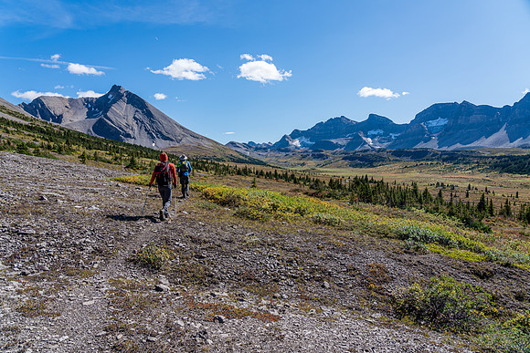 Exiting the Siffleur valley along the high trail (much drier than the lower one).