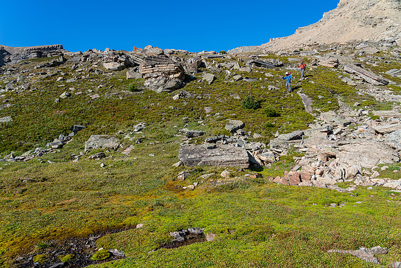 Descending into green meadows under Quartzite Col.
