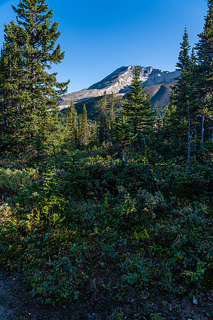 Distant views of Clearwater Mountain from the trail.
