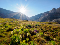 Hiking the trail to North Molar Pass.