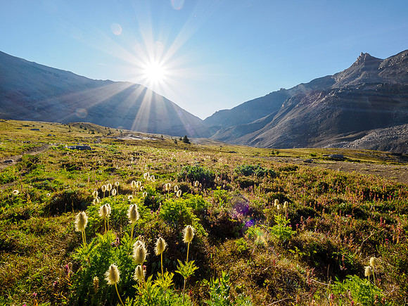 Hiking the trail to North Molar Pass.