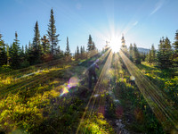Hiking the trail to North Molar Pass.