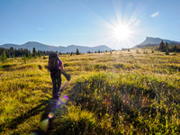 Hiking the trail to North Molar Pass.
