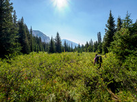 Hiking the Pipestone River Trail towards "Fossil Creek".