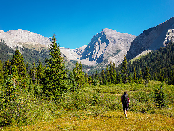 Hiking towards Fossil Creek and Forbidden Peak.
