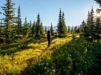 Hiking the trail to North Molar Pass.