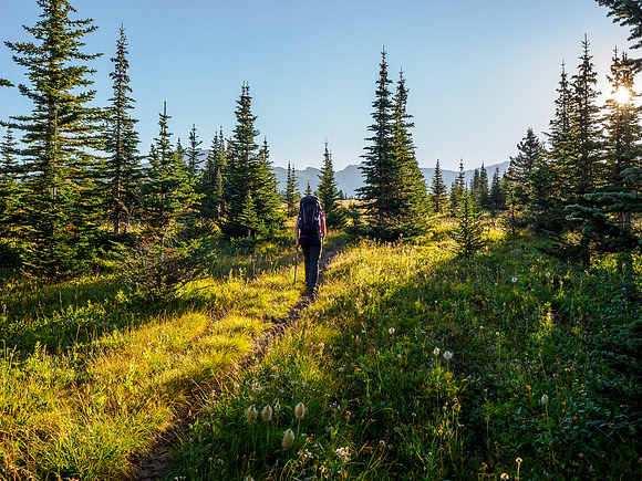 Hiking the trail to North Molar Pass.