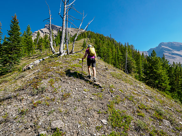 Ascending the WSW slopes of Forgotten Peak.