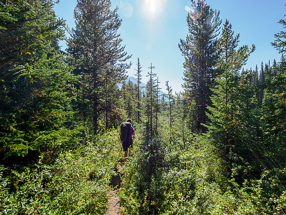 Hiking the Pipestone River Trail towards "Fossil Creek".