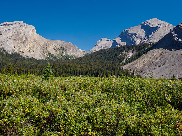 Looking up the Three Brothers Creek drainage.