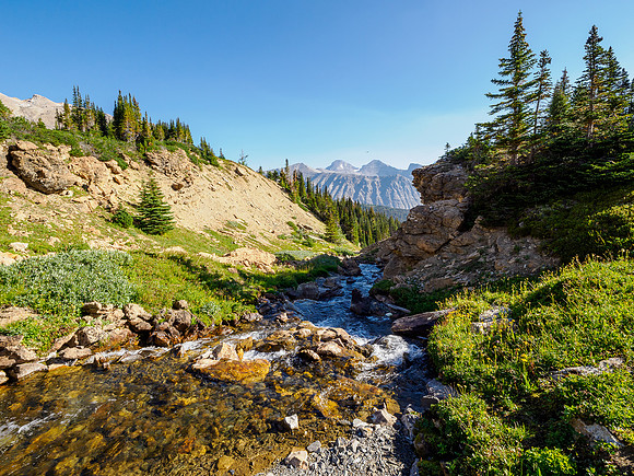 Hiking between NMP and Fish Lakes.