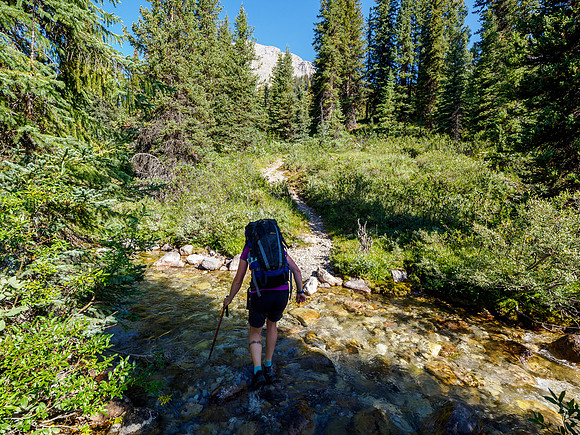 Hiking between Fish Lakes and the Pipestone River.