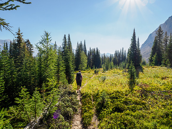 Hiking between Fish Lakes and the Pipestone River.