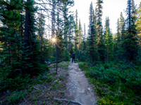 Hiking the Mosquito Creek Trail to the Molar Meadows.