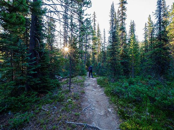 Hiking the Mosquito Creek Trail to the Molar Meadows.