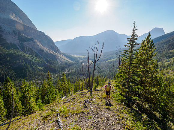 Descending WSW slopes of Forgotten Peak to Fossil Creek.