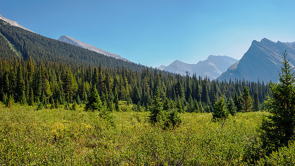 Forgotten Peak at left.