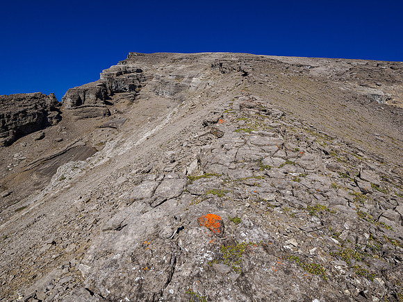 Views up the dragon's back.