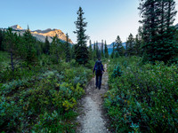 Hiking the Mosquito Creek Trail.