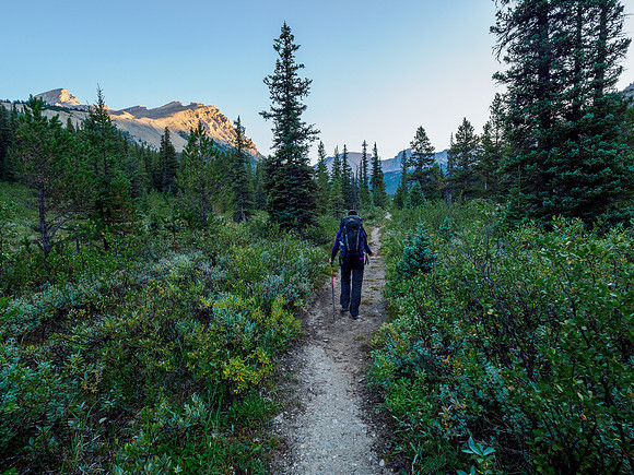 Hiking the Mosquito Creek Trail.