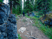 Hiking the Mosquito Creek Trail.