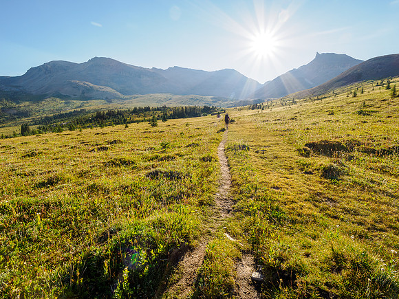 Hiking the trail to North Molar Pass.