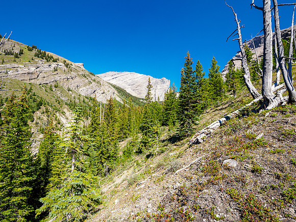 Ascending the WSW slopes of Forgotten Peak views of Cataract Peak.