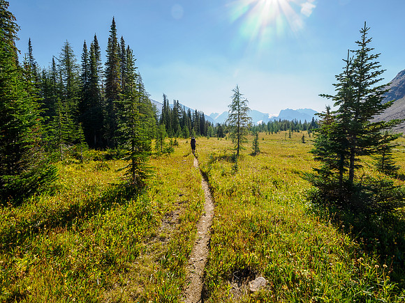 Hiking between Fish Lakes and the Pipestone River.