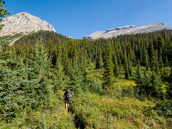 Hiking between Fish Lakes and the Pipestone River.
