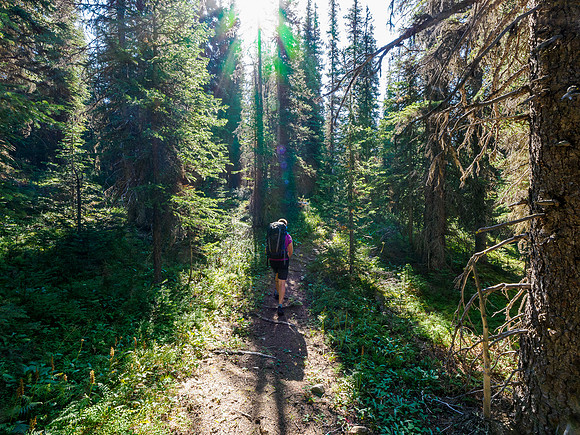 Hiking the Pipestone River Trail towards "Fossil Creek".