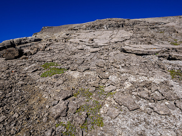 Descending WSW slopes of Forgotten Peak to Fossil Creek.