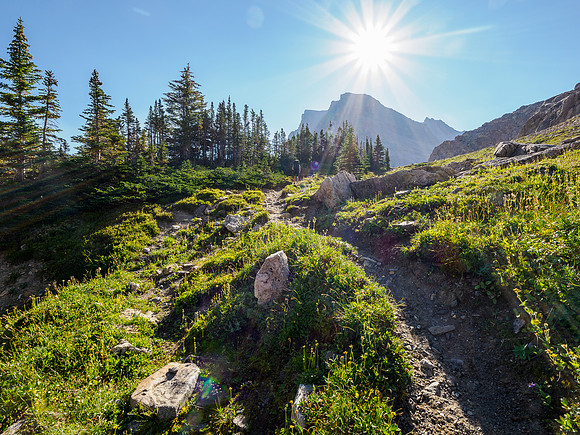 Hiking between NMP and Fish Lakes.