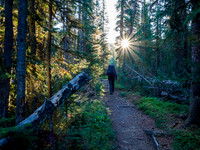 Hiking the Mosquito Creek Trail to the Molar Meadows.