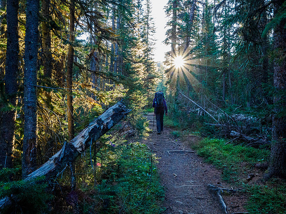 Hiking the Mosquito Creek Trail to the Molar Meadows.
