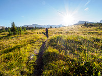 Hiking the trail to North Molar Pass.