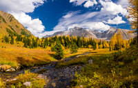 Pocaterra Creek runs towards Highwood Pass.