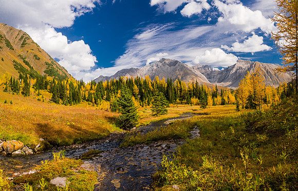 Pocaterra Creek runs towards Highwood Pass.