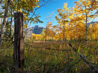 Fall photo from Canmore.