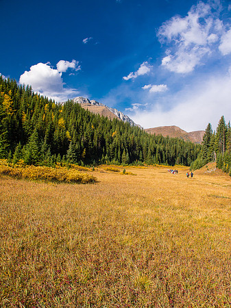 A very popular hike, this is starting down the trail near the parking lot at Highwood Pass.