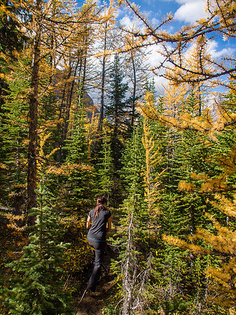 Some sections of the approach trail are surprisingly bushy.