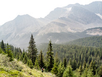 Descending back into the bush.