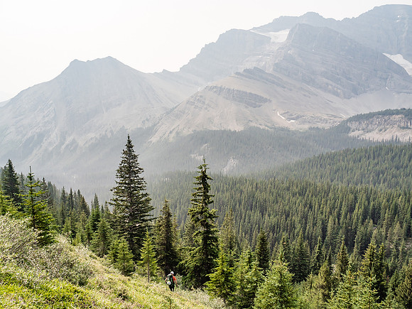 Descending back into the bush.
