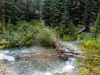 A section of trail that we simply walked across on approach is somehow a swollen creek on exit? Very strange as there's no glacier feeding this drainage as far as we could tell!