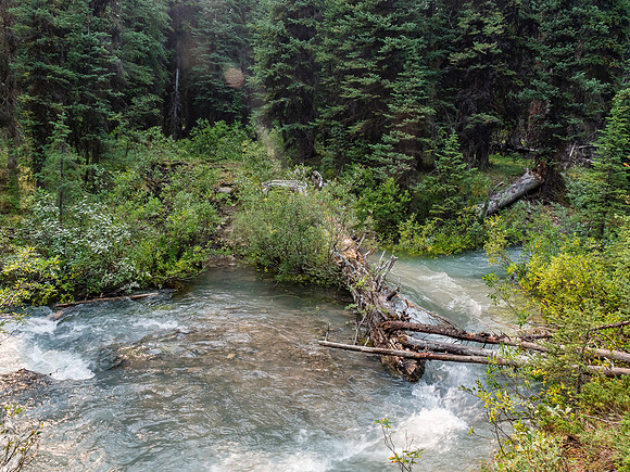 A section of trail that we simply walked across on approach is somehow a swollen creek on exit? Very strange as there's no glacier feeding this drainage as far as we could tell!