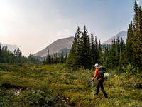Finally we reach more open alpine meadows and Mount McConnell starts showing up - at upper right here.