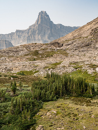 McConnell Alpine Meadows.