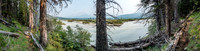 Some parts of the trail seem recently maintained such as this section which had to be rerouted when the Red Deer River switched course, probably after the 2013 floods.