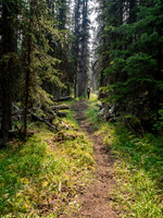 Hour upon hour of forested trail.