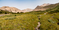 McConnell Alpine Meadows.