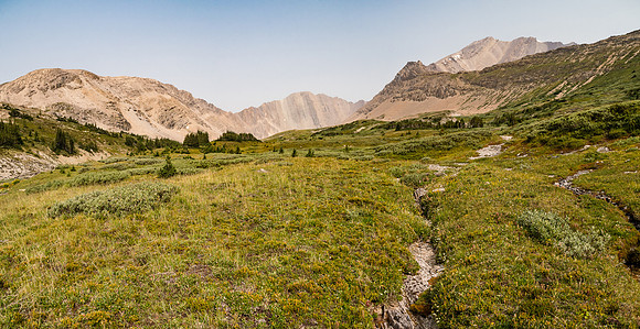 McConnell Alpine Meadows.